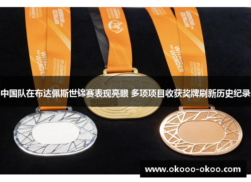 中国队在布达佩斯世锦赛表现亮眼 多项项目收获奖牌刷新历史纪录