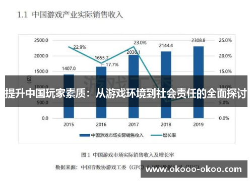提升中国玩家素质：从游戏环境到社会责任的全面探讨